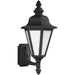 Brentwood Black LED Outdoor Wall Lantern - Outdoor Wall Sconce