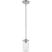 Delaney Brushed Nickel Mini-Pendant - Mini-Pendants