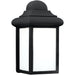 Mullberry Hill Black LED Outdoor Wall Lantern - Outdoor Wall Sconce