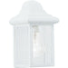 Mullberry Hill White Outdoor Wall Lantern - Outdoor Wall Sconce